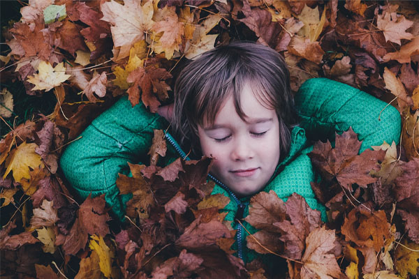 Educazione ambientale